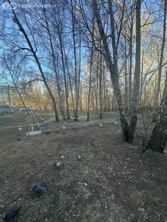 2-комнатная квартира: Челябинск, улица Богдана Хмельницкого, 38 (50 м) - Фото 2