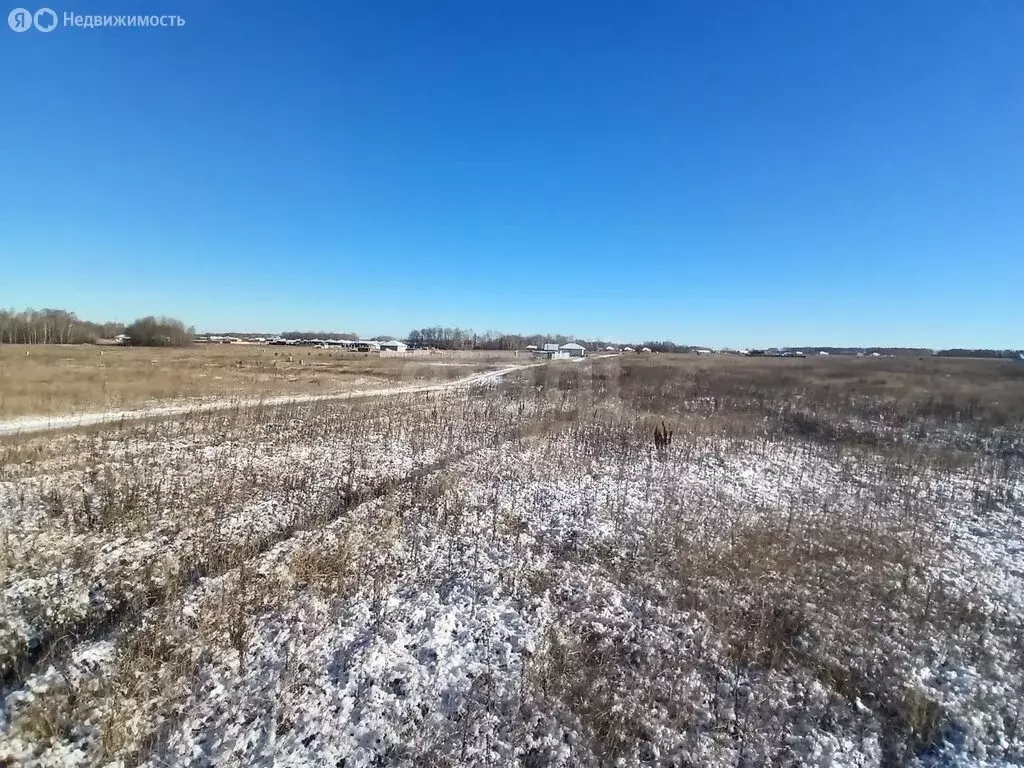 Участок в Тюменский муниципальный округ, коттеджный посёлок ... - Фото 2