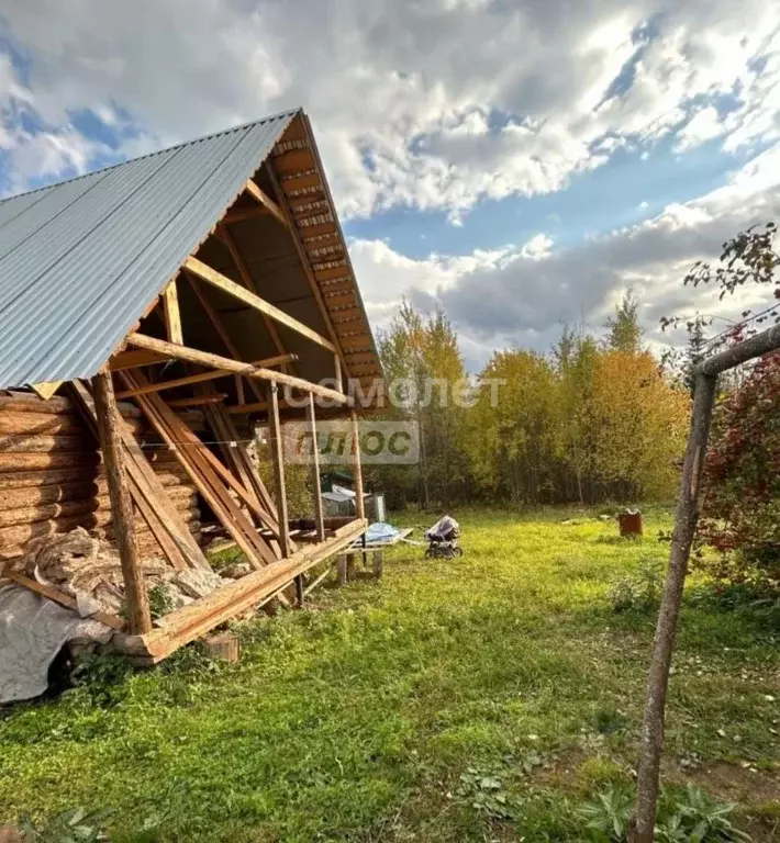 Участок в Пермский край, Пермский муниципальный округ, Ритм СНТ 98 ... - Фото 2