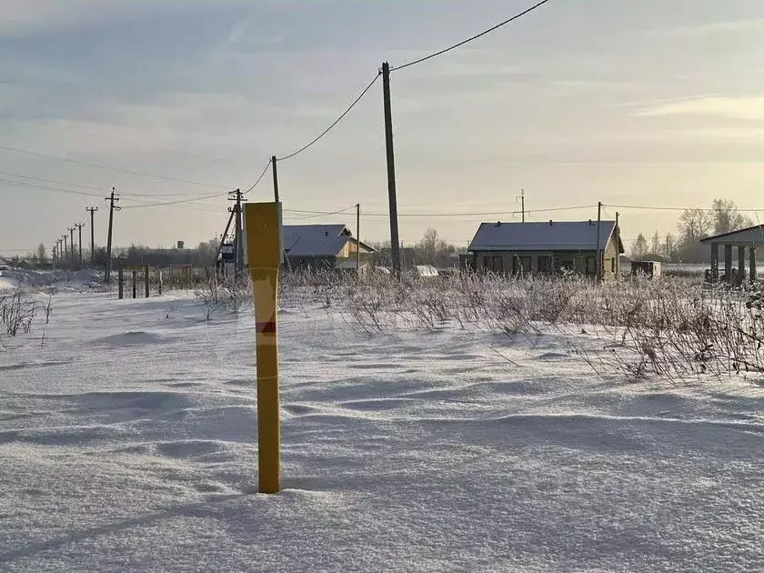 Участок в Тюменская область, Тюменский район, с. Борки  (15.0 сот.) - Фото 0