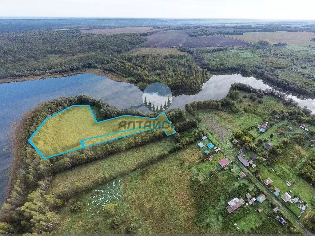 Участок в Алтайский край, Косихинский район, с. Озеро-Красилово Нижняя ... - Фото 2