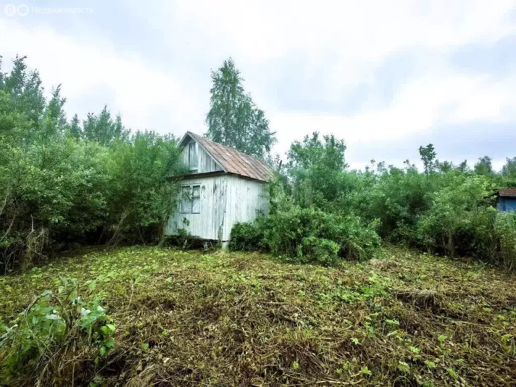 Участок в Кисельнинское сельское поселение, садоводческий массив ... - Фото 1