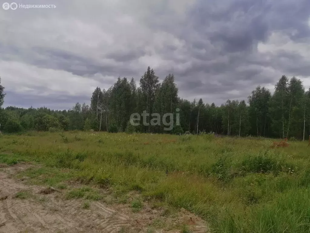 Участок в Меленки, улица Мира (14 м) - Фото 1