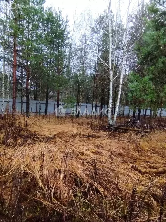 Участок в Московская область, Павлово-Посадский городской округ, ... - Фото 2