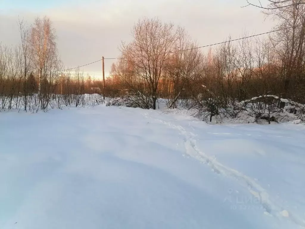 Участок в Новгородская область, Новгородский район, Ермолинское с/пос, ... - Фото 1