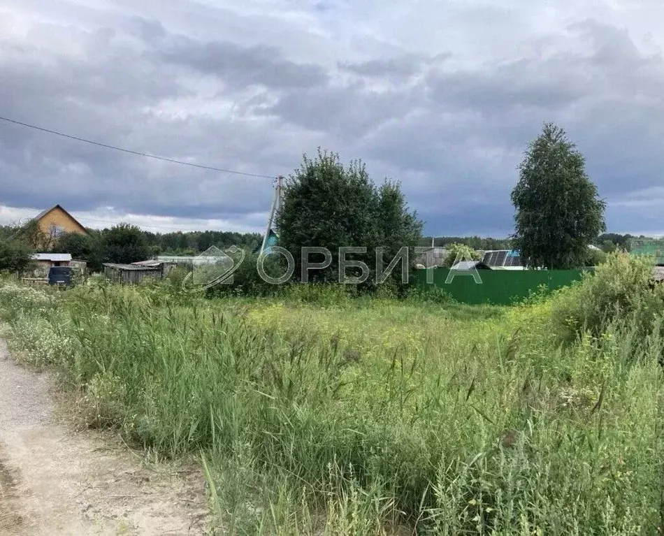 Участок в Тюменская область, Тюменский район, пос. Новотарманский ул. ... - Фото 0