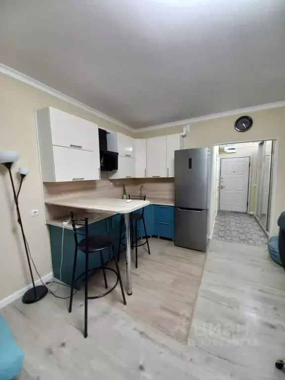 Студия Московская область, Красногорск ул. Липовой Рощи, 2к3 (28.0 м) - Фото 1