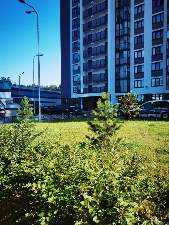 1-к кв. Санкт-Петербург Парашютная ул., 61к4 (36.0 м) - Фото 0