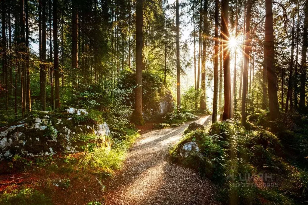 Дом в Московская область, Одинцовский городской округ, пос. Николина ... - Фото 1