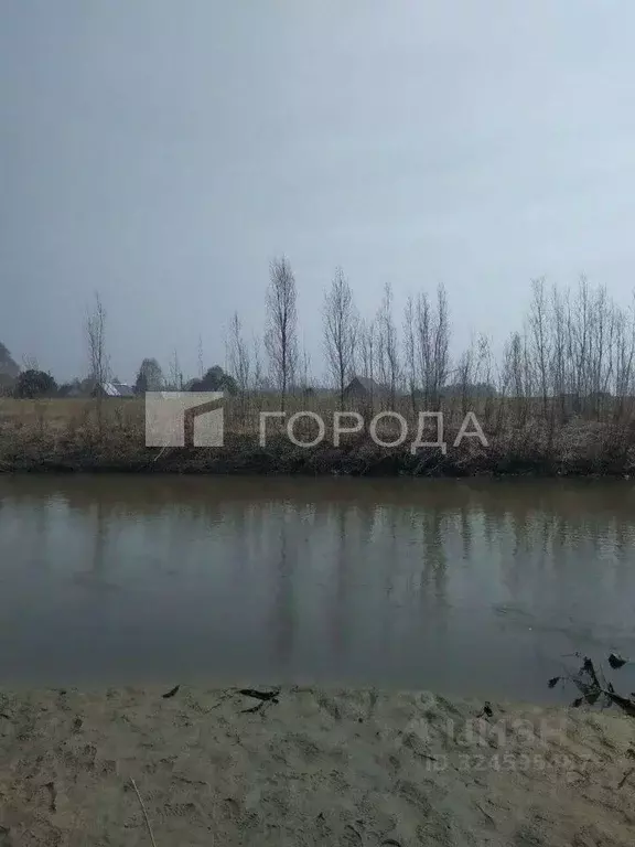 Участок в Алтайский край, Первомайский район, с. Бобровка Советская ... - Фото 2