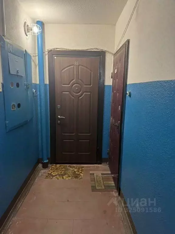 1-к кв. Московская область, Ликино-Дулево Орехово-Зуевский городской ... - Фото 2