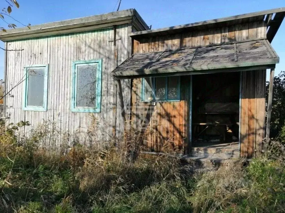Дом в Омская область, Омск СОСН Любитель-4 тер., 286 (20 м) - Фото 1