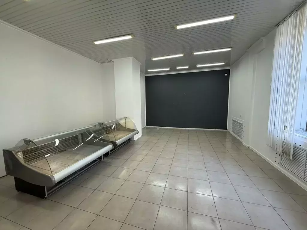 Помещение свободного назначения в Московская область, Ногинск ... - Фото 1