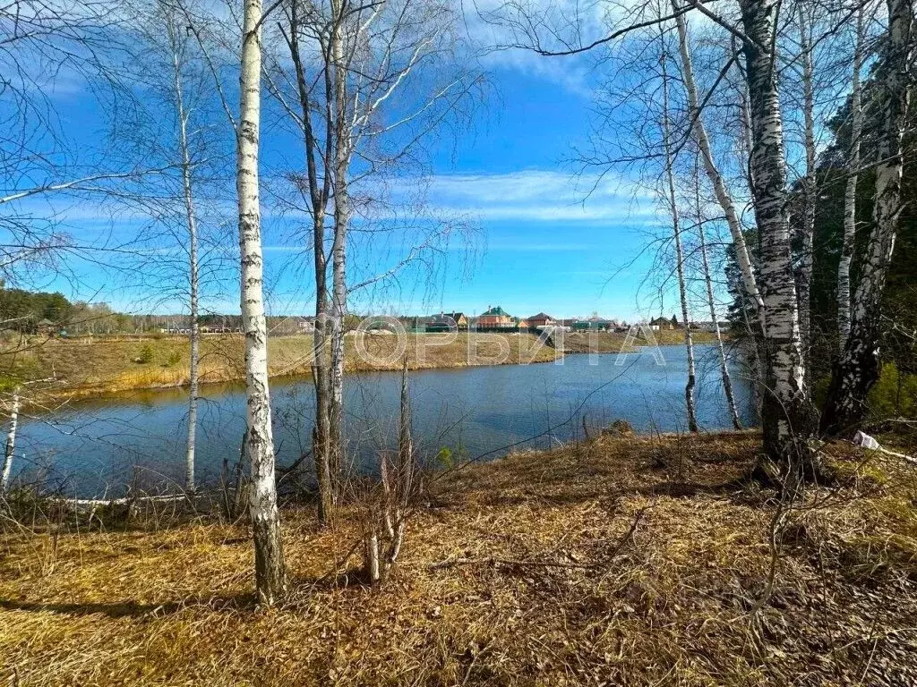 Участок в Тюменская область, Тюменский муниципальный округ, д. Ушакова ... - Фото 2