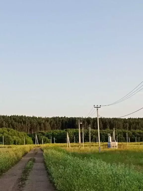 Участок в Татарстан, Тукаевский район, д. Малая Шильна  (12.0 сот.) - Фото 1