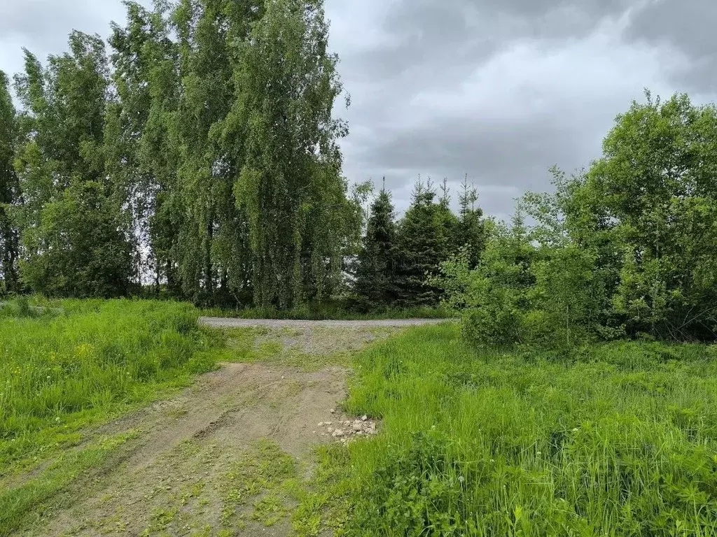 Участок в Московская область, Наро-Фоминский городской округ, ... - Фото 2