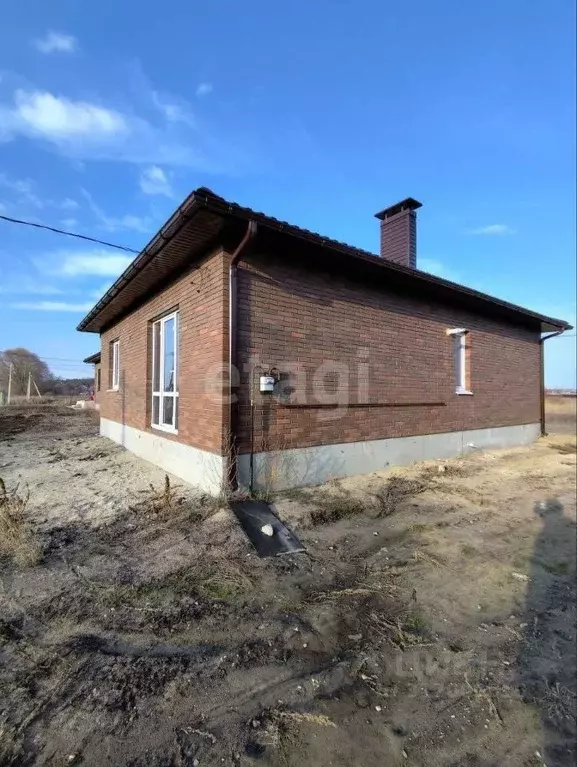 Дом в Воронежская область, Новоусманский район, с. Бабяково Заливной ... - Фото 1