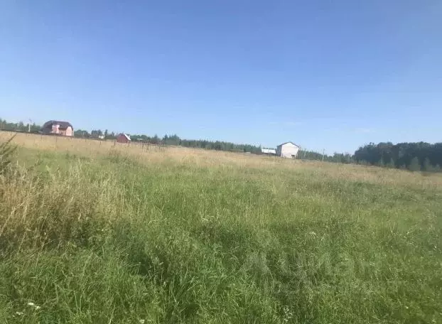 Участок в Московская область, Зарайск муниципальный округ, д. Ерново, ... - Фото 2