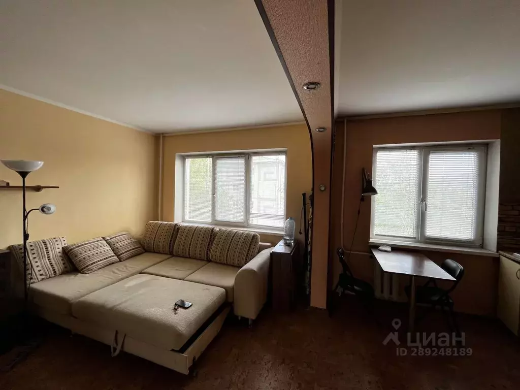 Студия Омская область, Омск ул. 20-я Линия, 55 (31.0 м) - Фото 2