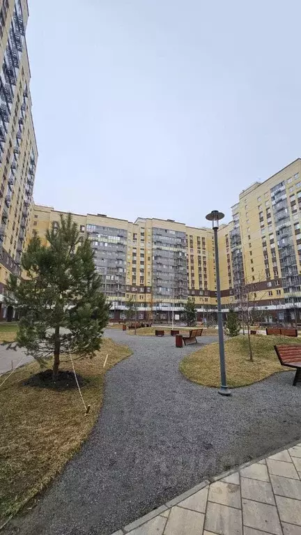 Студия Москва ш. Остафьевское, 14к1 (27.6 м) - Фото 0