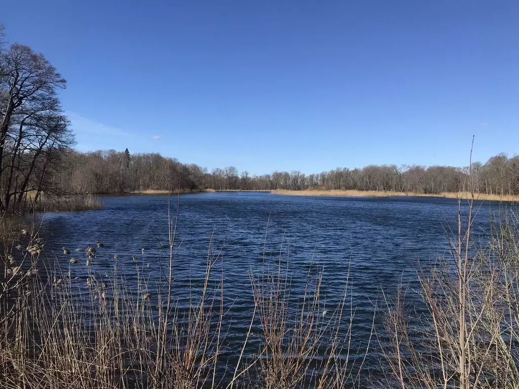 Дом в Ленинградская область, Ломоносовский район, д. Гостилицы, ... - Фото 2