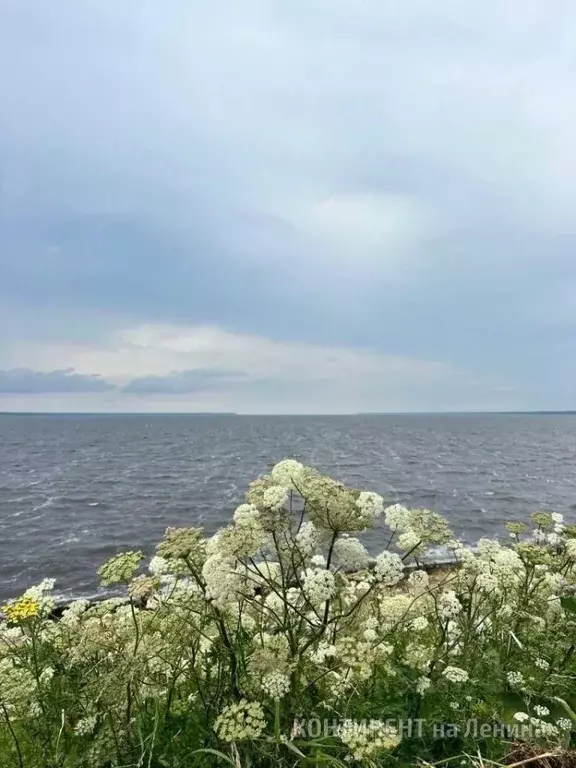 Участок в Ярославская область, Рыбинск Строитель-1 СНТ, 110 (6.8 сот.) - Фото 1