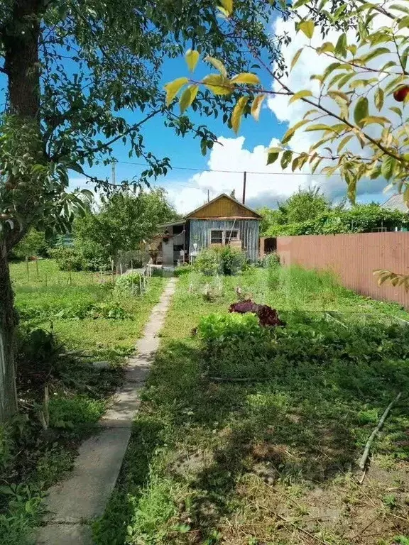 Дом в Калининградская область, Калининград Рассвет СНТ, ул. 1-я ... - Фото 1