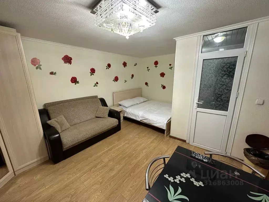 Студия Ставропольский край, Кисловодск ул. Кольцова, 24 (20.0 м) - Фото 1