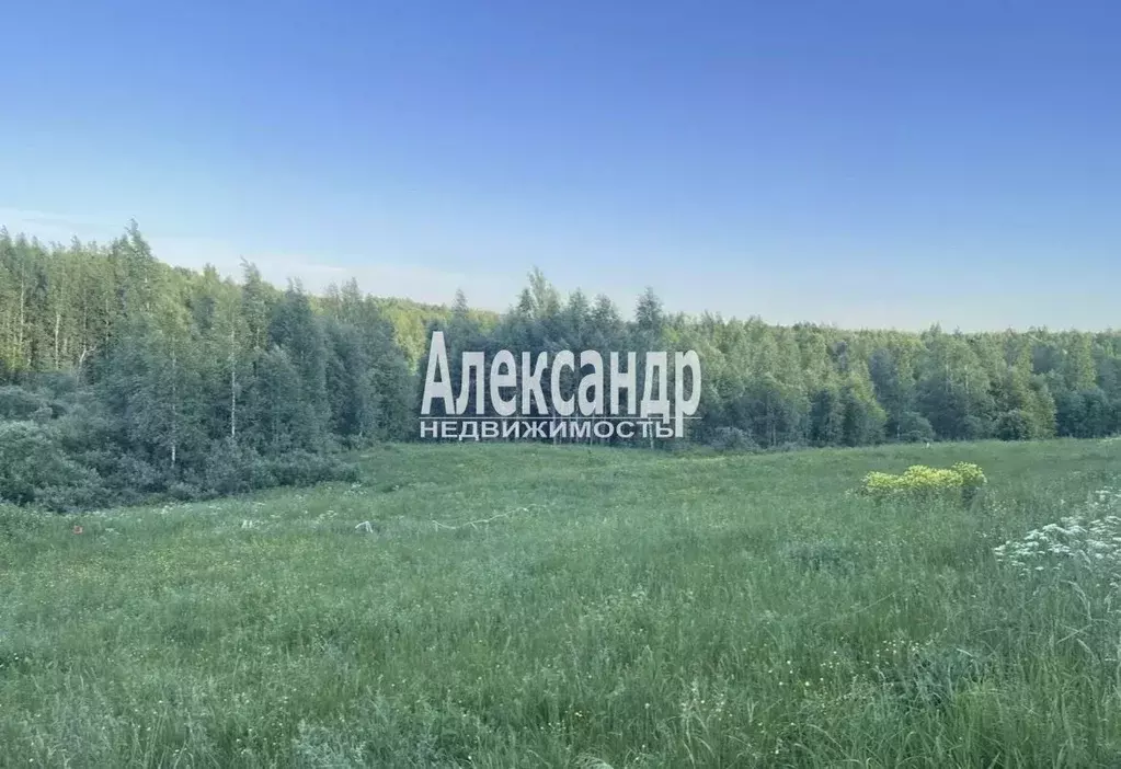 Участок в Ленинградская область, Всеволожский район, Куйвозовское ... - Фото 1