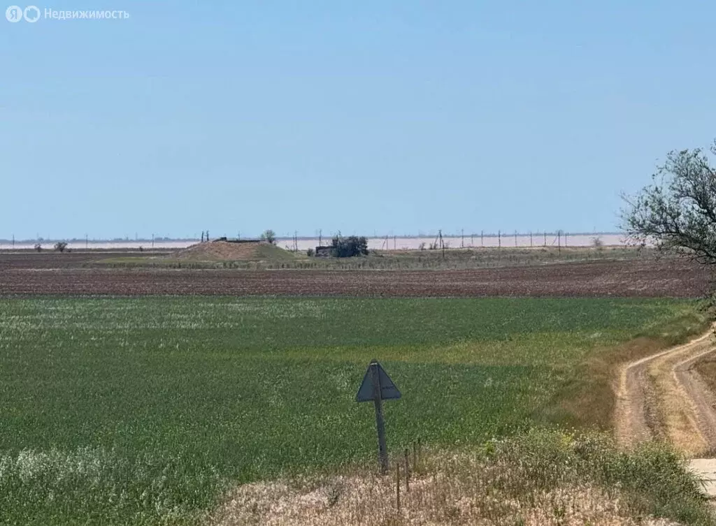 Участок в Саки, Заводская улица, 84Б (4.6 м) - Фото 2