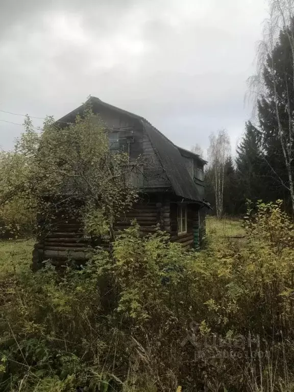 Участок в Ленинградская область, Волховский район, Кисельнинское ... - Фото 1