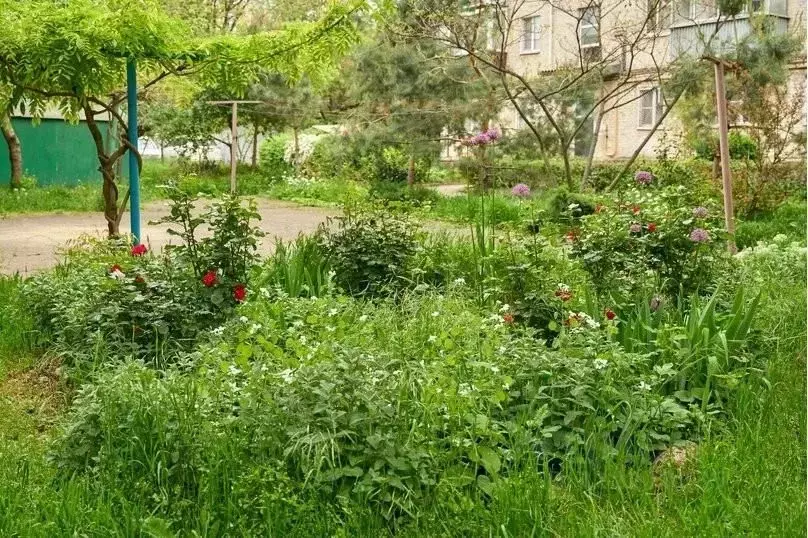 1-к кв. Краснодарский край, Краснодар Офицерская ул., 50А (34.0 м) - Фото 2