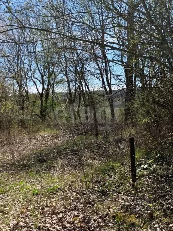 Участок в Ставропольский край, Ставрополь Нива ДНТ,  (14.31 сот.) - Фото 2