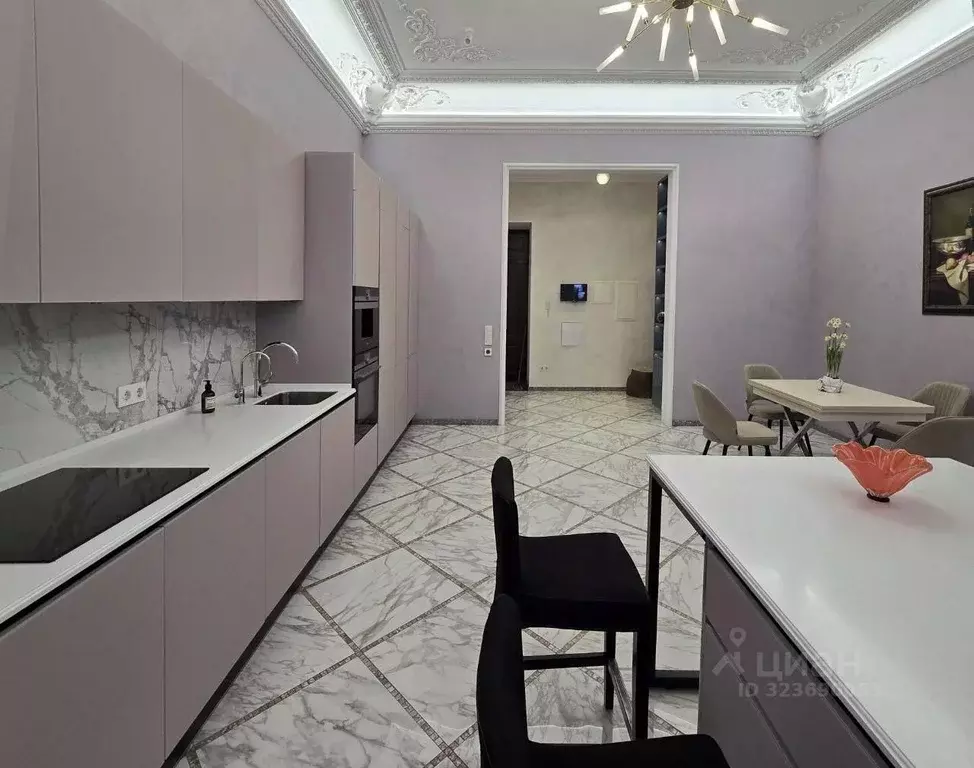 4-к кв. Санкт-Петербург ул. Чайковского, 38/9 (280.0 м) - Фото 2