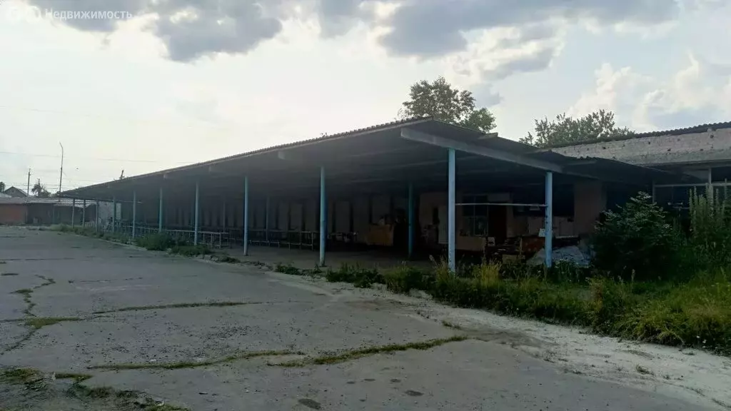 Помещение свободного назначения (1017 м) - Фото 1