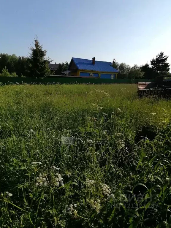Участок в Московская область, Щелково городской округ, д. Малые ... - Фото 0