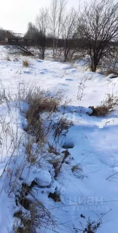 Участок в Хабаровский край, Комсомольский район, с. Новый Мир Лесная ... - Фото 0