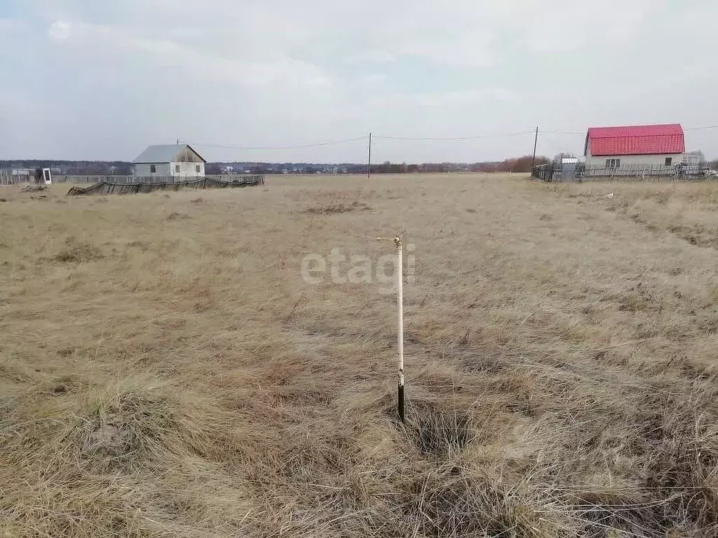 Участок в Курганская область, Кетовский муниципальный округ, с. ... - Фото 0