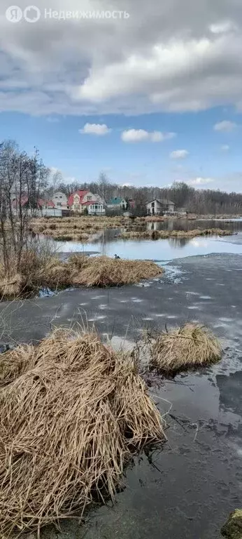 Участок в Тамбовский муниципальный округ, посёлок Берёзка, 8 (6 м) - Фото 2