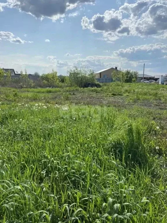 Участок в Воронежская область, Новоусманский район, с. Бабяково ... - Фото 1