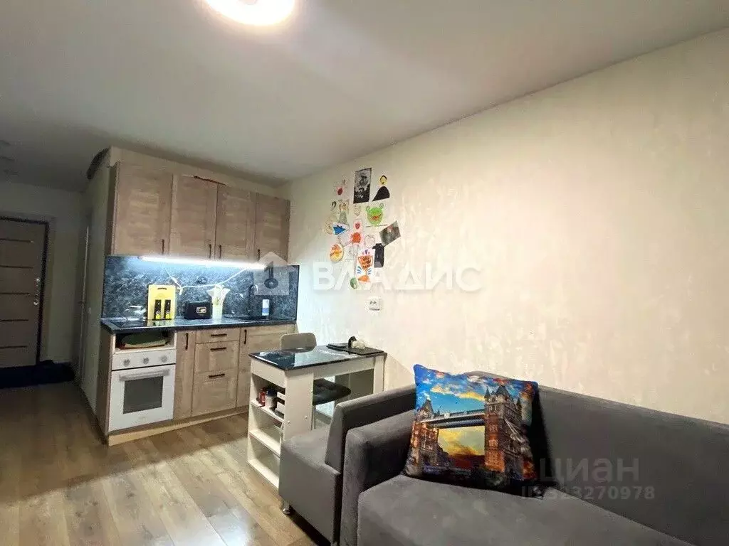 Студия Владимирская область, Владимир Добросельская ул., 188В (23.0 м) - Фото 2