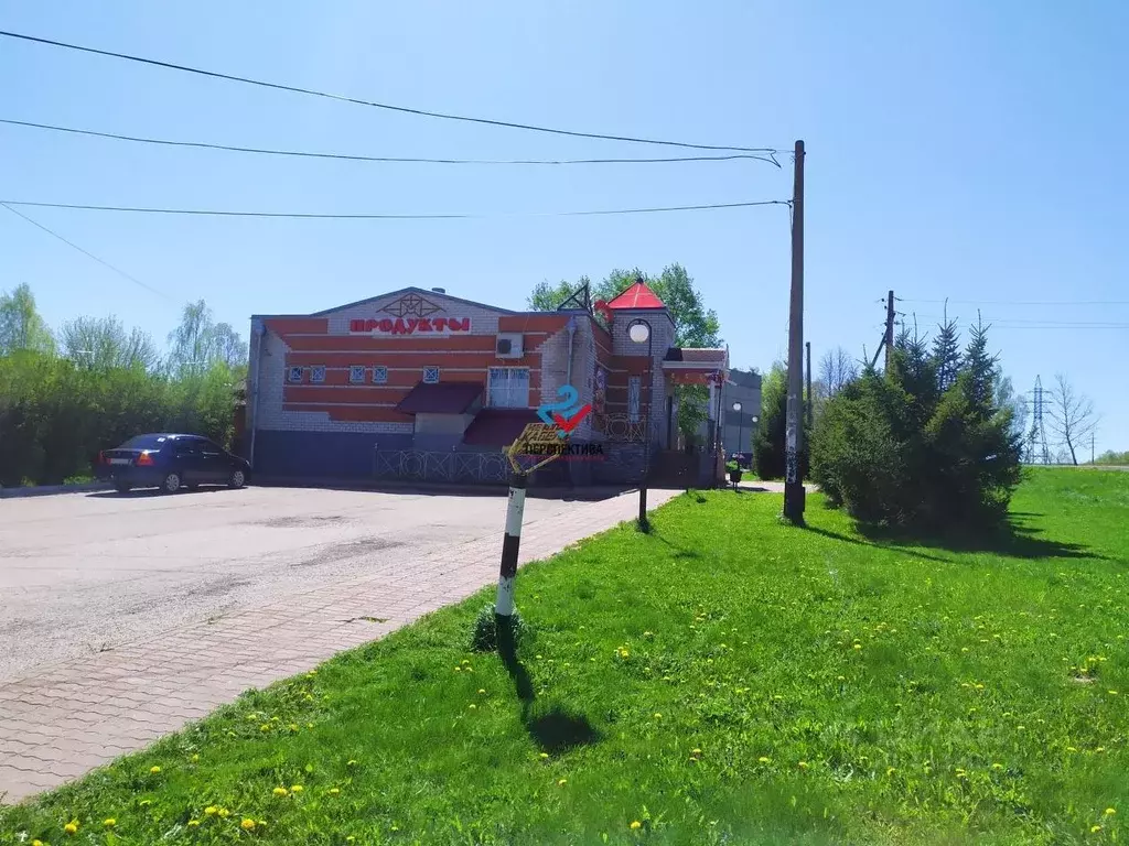 Торговая площадь в Московская область, Ступино городской округ, с. .,  Аренда торговых помещений Старая Ситня, Ступинский район, ID объекта -  80000780693