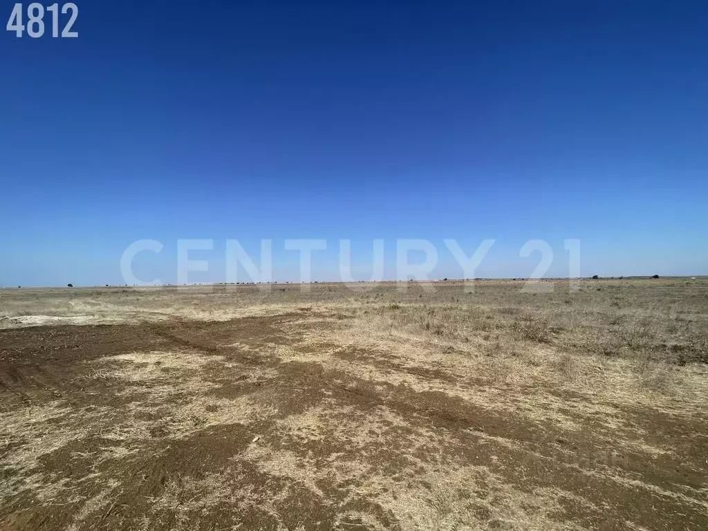 Участок в Крым, Сакский район, Молочненское с/пос, с. Витино  (6.0 ... - Фото 1