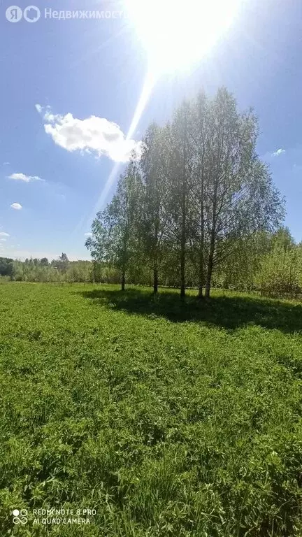 Участок в Вологодская область, Череповецкий муниципальный округ, ... - Фото 1