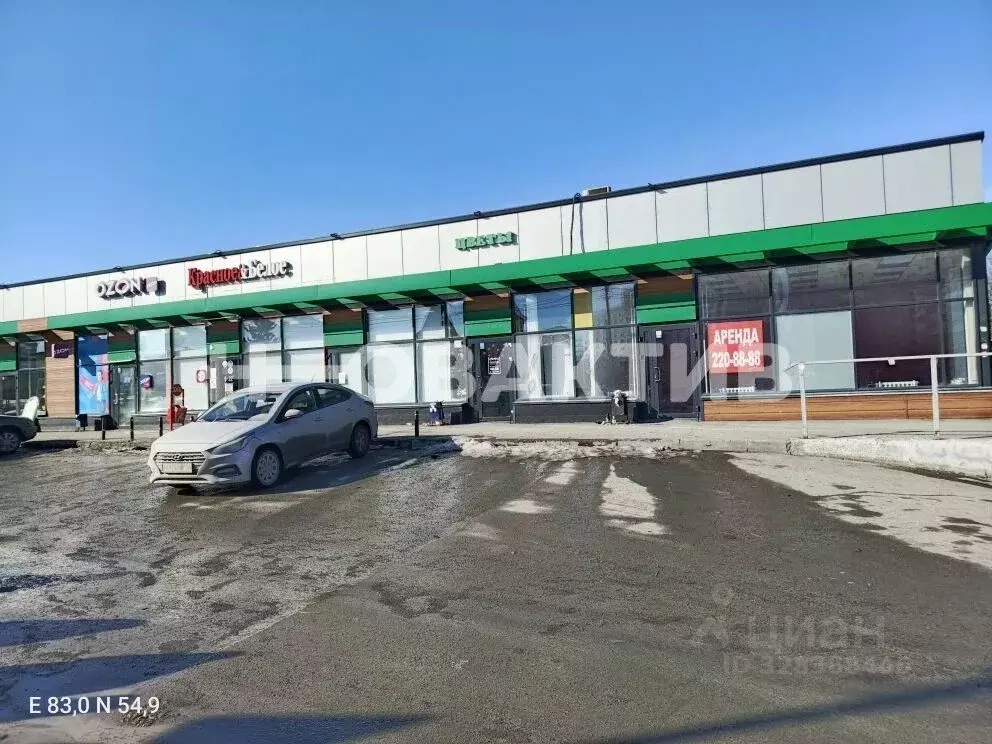 Помещение свободного назначения в Новосибирская область, Новосибирск ... - Фото 1