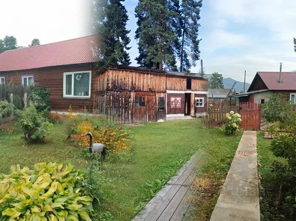 Дом в Алтай, Турочакский район, с. Турочак Зеленая ул. (48 м) - Фото 1