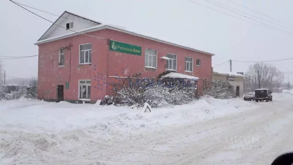 Помещение свободного назначения в Нижегородская область, Воскресенское ... - Фото 0