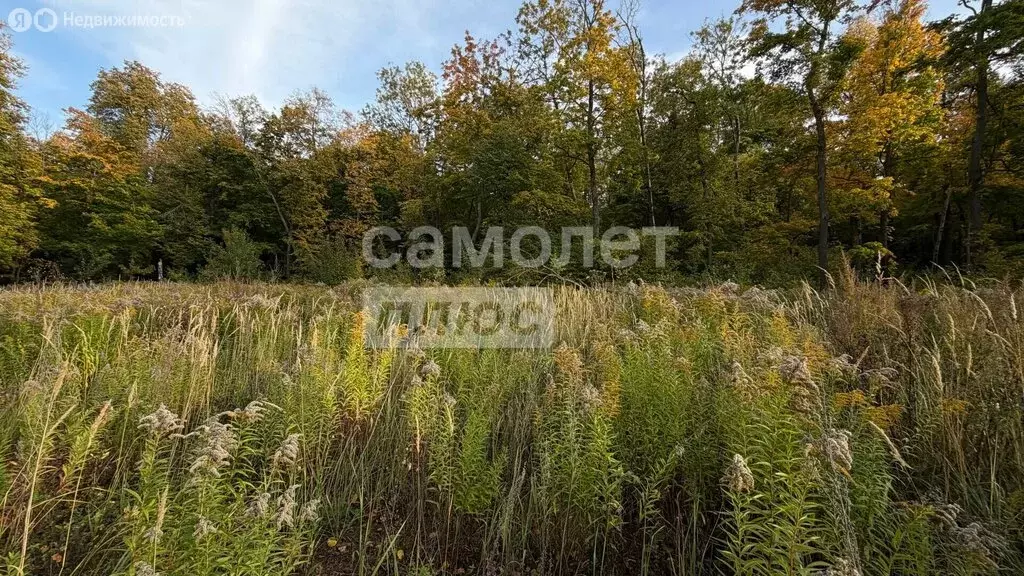 Участок в Пенза, улица Маресьева, 161 (15 м) - Фото 2