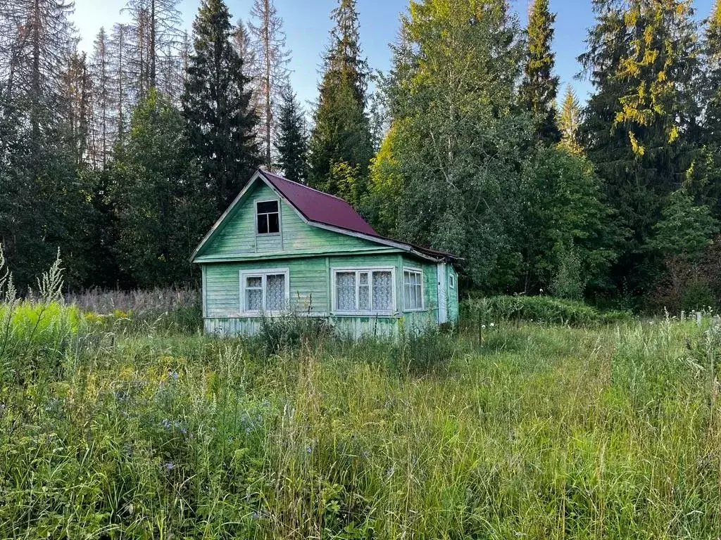 Участок в Новгородская область, Валдайский район, Костковское с/пос, ... - Фото 0