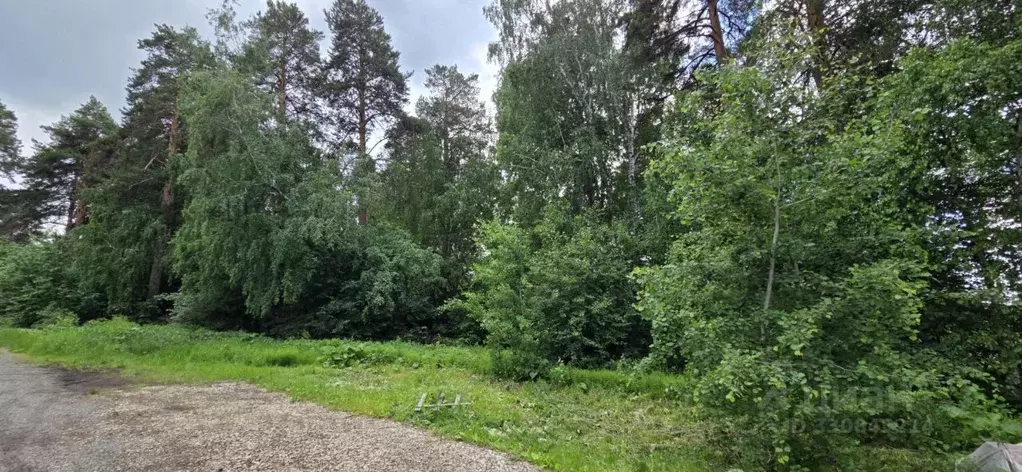 Участок в Свердловская область, Екатеринбург муниципальное ... - Фото 1